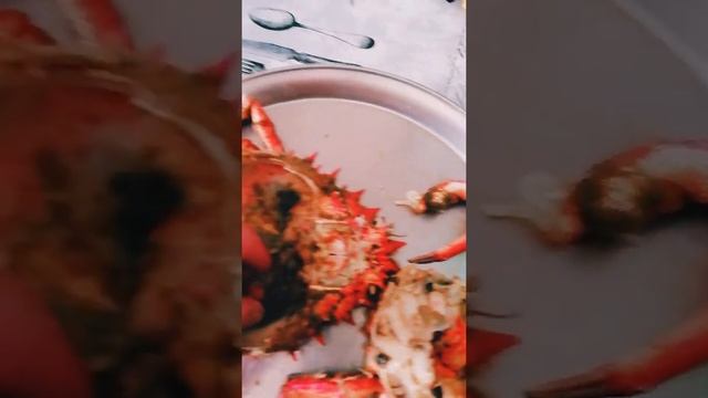 Как приготовить краба!!! Рецепт. Santola! смотреть онлайн