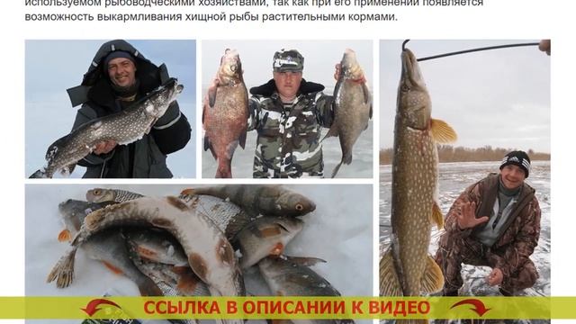 ? Какая приманка лучше для рыбалки ⭐ Зимняя прикормка для плотвы сенсас 3000 ? смотреть онлайн