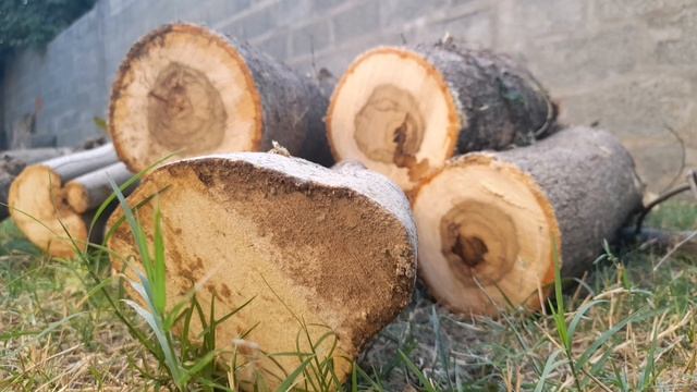 Samsung Galaxy A21s Camera Test смотреть онлайн