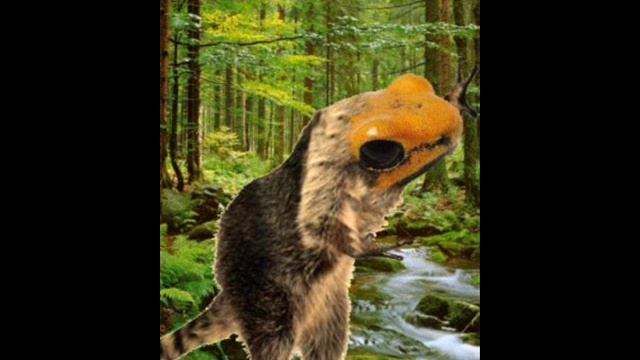 Animal Mashups смотреть онлайн
