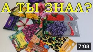 Какие ЦВЕТЫ сеем в ЯНВАРЕ а рассаду????