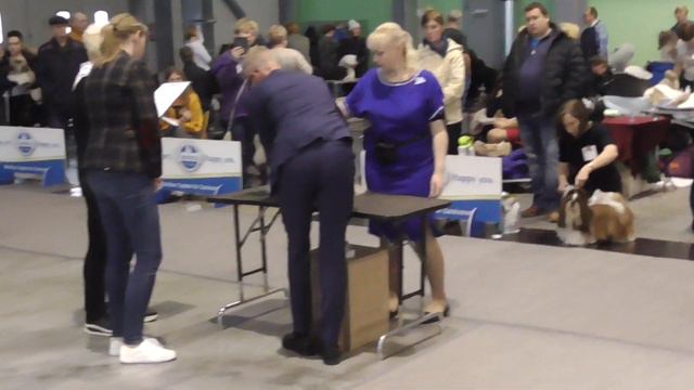 моно ши тцу кобель чемпион смотреть онлайн