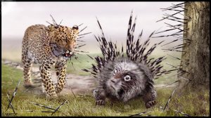 День, Когда Все Хищники Боятся Дикобраза