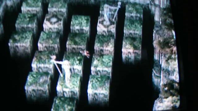 legend of zelda twilight princess sacred grove puzzle guide смотреть онлайн