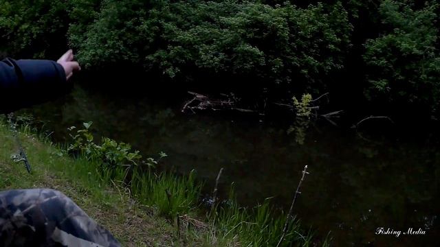 Тайна успешной ловли сома раскрыта? Теория и практика возле каряжника на малой реке.