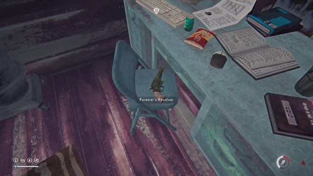 The Long Dark Forester's Revolver All Locations смотреть онлайн