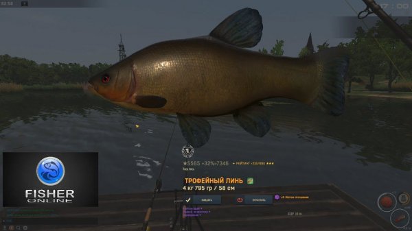 Fisher Online / трофейный линь, Чехия: пруд Рыбавицы