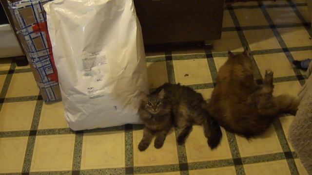 МАЙКУНЫ смотреть онлайн