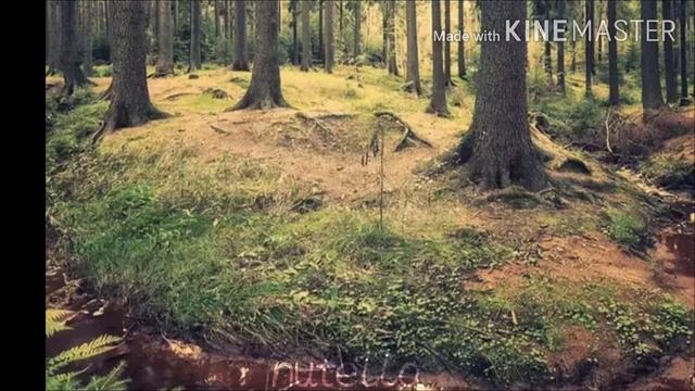 [Part on Map GIMI]//чит.оп// смотреть онлайн