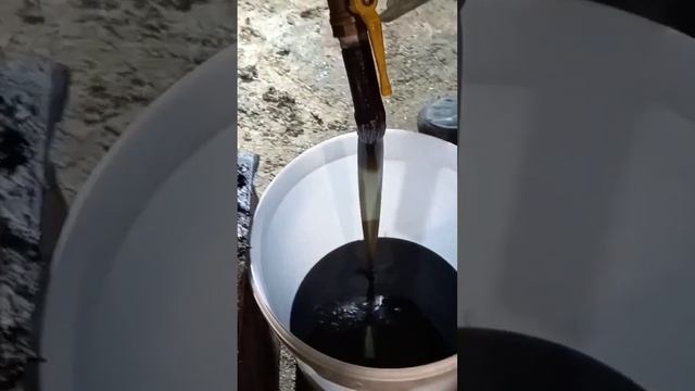 Выжимаем подсолнечное масло?? смотреть онлайн