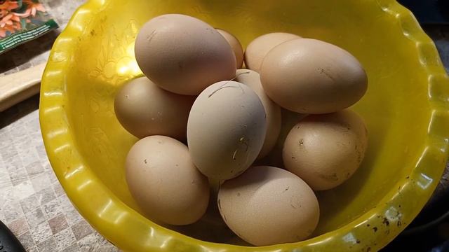 Проблема с котлом😎 Осушитель для курятника🐔 Курицы радуют 🥚🥚🥚 Живем в станице на кубани♥ смотреть онлайн