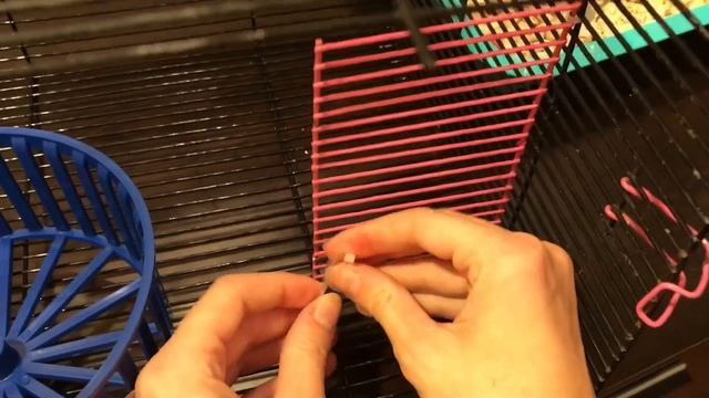 Мама обижает малышей. Решаем проблему. смотреть онлайн