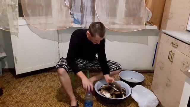 Трэйлер. Охота, рыбалка, как стать охотником, охота на животных, обзоры, охотничье оружие смотреть онлайн