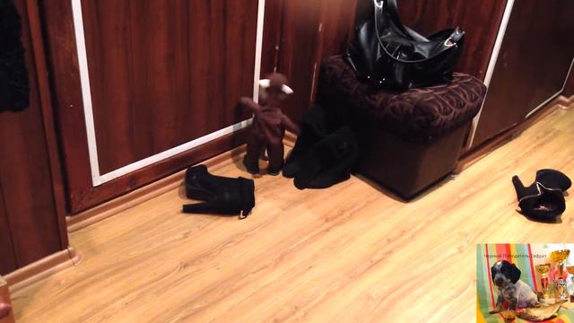 Райт и обезьянка. 18.10.13. смотреть онлайн