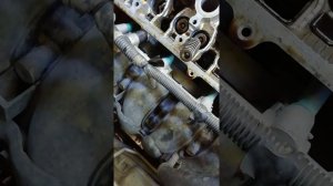 Замена маслосъемных колпачков Camru 40 2.4, рег-ка клапанов, vvti заклинившая