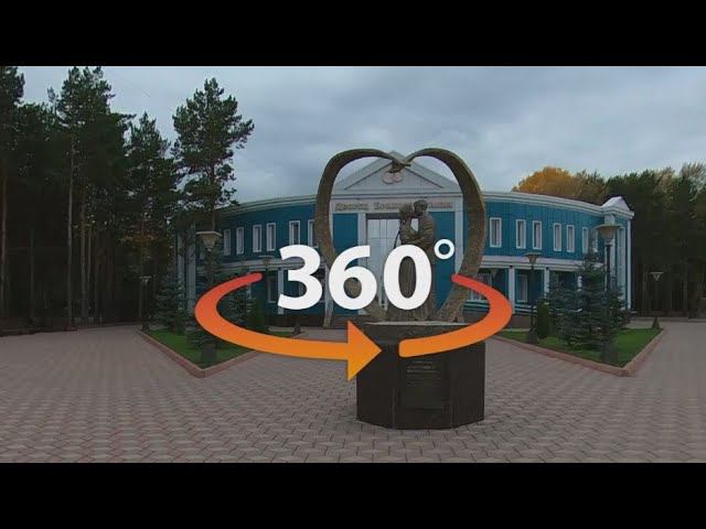 360 видеосёмка свадьбы смотреть онлайн