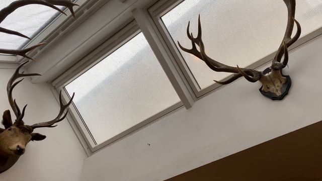 90. ПОКУПКИ, АНТИКВАРНЫЙ МАГАЗИН И ГОРОД MACHYNLLETH. смотреть онлайн