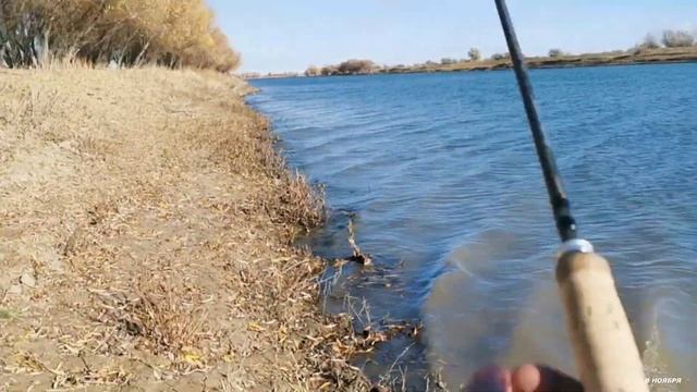 АСТРАХАНСКАЯ РЫБАЛКА. КИГАЧ 2020 НОЯБРЬ смотреть онлайн