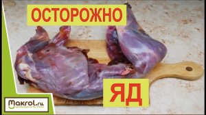 ✅Польза и ВРЕД мясо кролика. Выбирать ВАМ