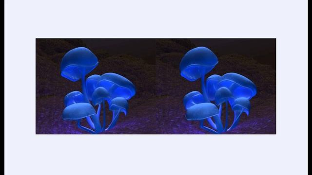 подводные грибы/underwater mushrooms смотреть онлайн