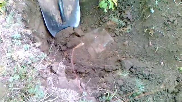 подъем котелка. Сталинград смотреть онлайн