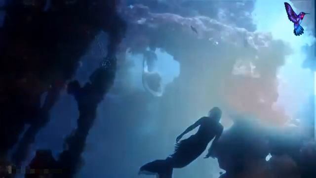 Удивительная жизнь русалочки Ханны Фрейзер / Hannah Fraser смотреть онлайн