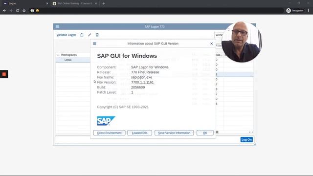 How to check your SAP GUI version and patch level смотреть онлайн
