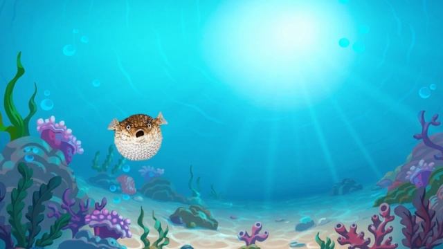 Games for cats on screen. Игры для кошек на экране. Aquarium смотреть онлайн