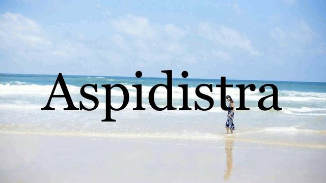 How To Pronounce Aspidistra🌈🌈🌈🌈🌈🌈Pronunciation Of Aspidistra смотреть онлайн