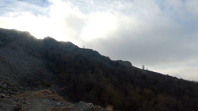 Last Run of 2021 - vRun 15 смотреть онлайн