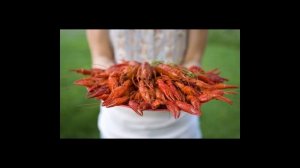 Бизнес на раках: как заработать состояние на раках?