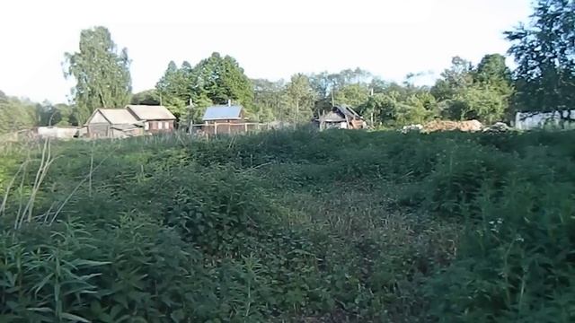 Заготовка крапивы курам // Куры // Чем заняться зимой в деревне // Жизнь в деревне