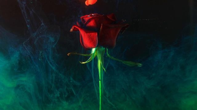 Best Relaxing Jazz Music • Saxophone • Visually Satisfying • Anxiety, Stress Relief, Insomnia смотреть онлайн