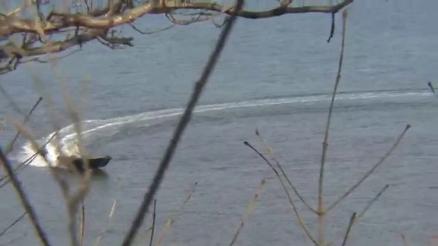 HDPE Boat лодка из полиэтилена