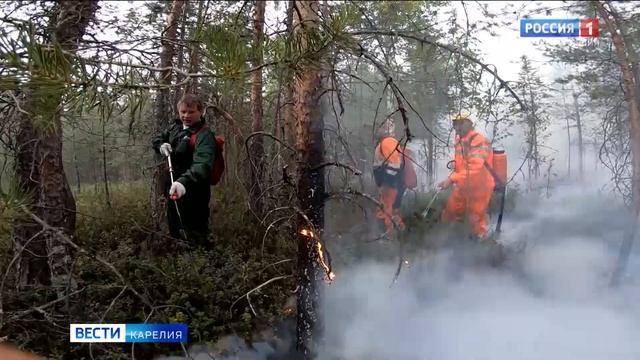 Дополнительные 50 миллионов рублей выделят на тушение пожаров в Карелии смотреть онлайн