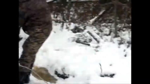 рыбалка в тавде смотреть онлайн