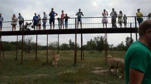 Поездка в Сафари для Андрея и Влада :)) Тайган .Крым.