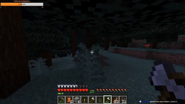 Выживание в Minecraft/Общаюсь с чатом/IP сервера по сабке(проверяю людей на адекватность) (1.14.4) смотреть онлайн
