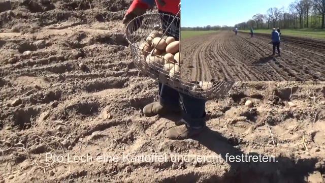 Im Frühjahr werden Kartoffeln gepflanzt смотреть онлайн