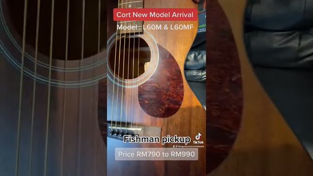 Affordable Luce Series L-60M And L60MF