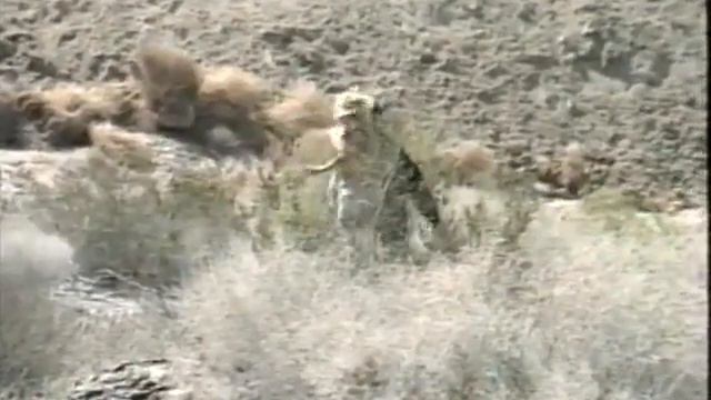 Run Like Hell 1995 смотреть онлайн