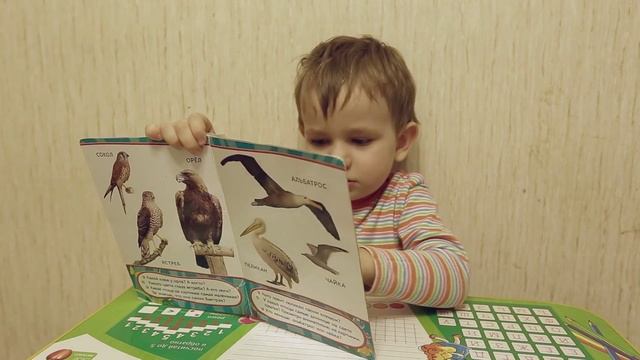 Смотрим книжку про хищников и называем их Look book about predators and call them смотреть онлайн