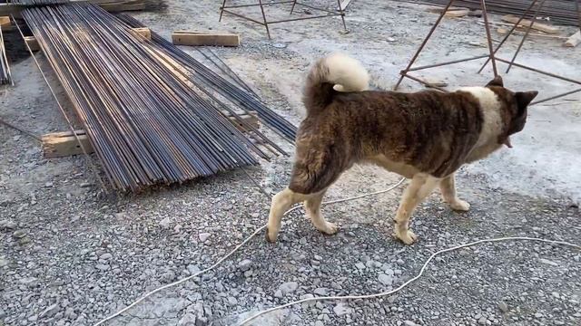 Дом с бассейном и баней в Коттеджном поселке. #домсбассейном #домсбаней #домсотделкой #домвсочи смотреть онлайн