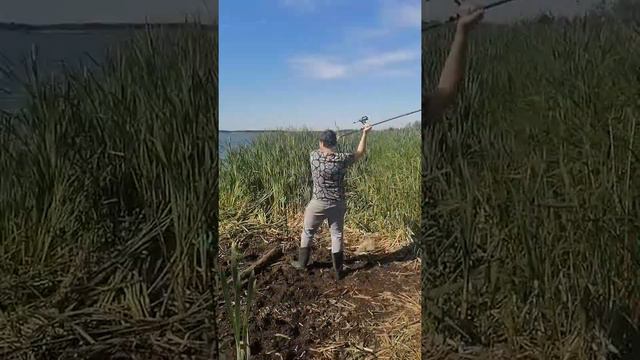 Рыбалка смотреть онлайн