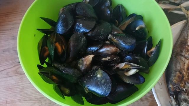 Мидии черноморские смотреть онлайн