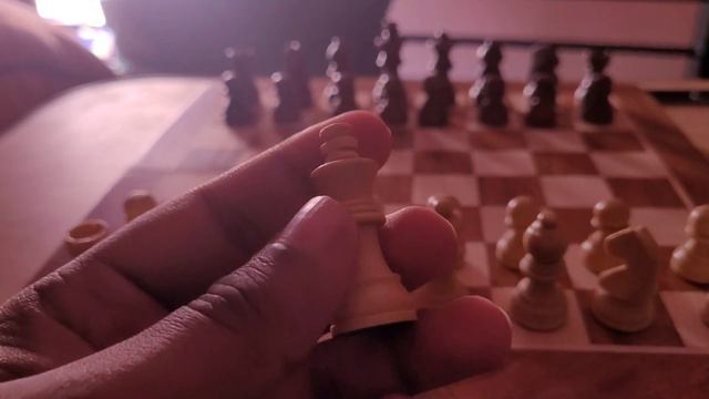 Best Chess Board | Magnetic Chess | Palm Royal | Under 1000 | Best for Beginners & kids смотреть онлайн