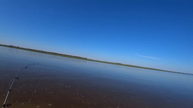 Пошли ловить щуку на блесну, а наловили язей! смотреть онлайн