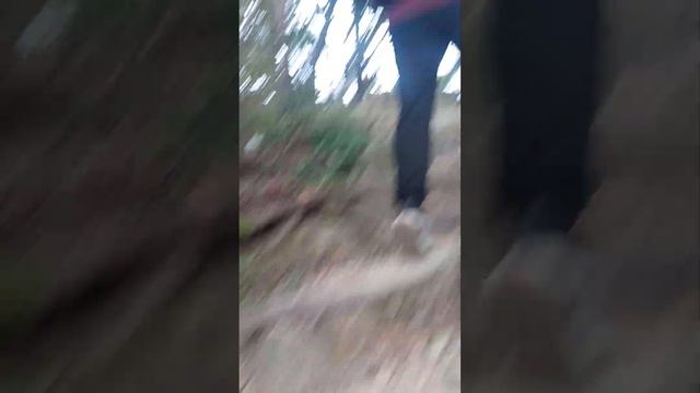 Тропа Димона......Ты сказал,что ты шаришь в этой теме.. смотреть онлайн