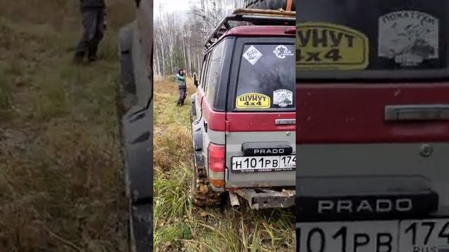 Toyota sv болото смотреть онлайн