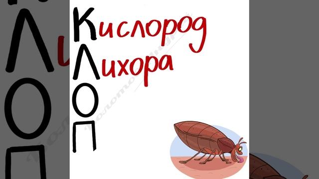 Система спасения в Ковид - "К.Л.О.П"